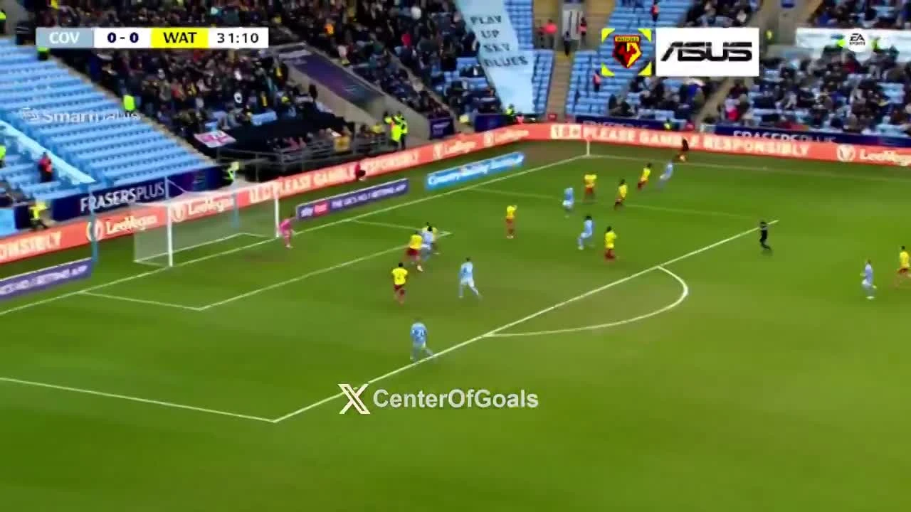 zaslepka skrotu video
