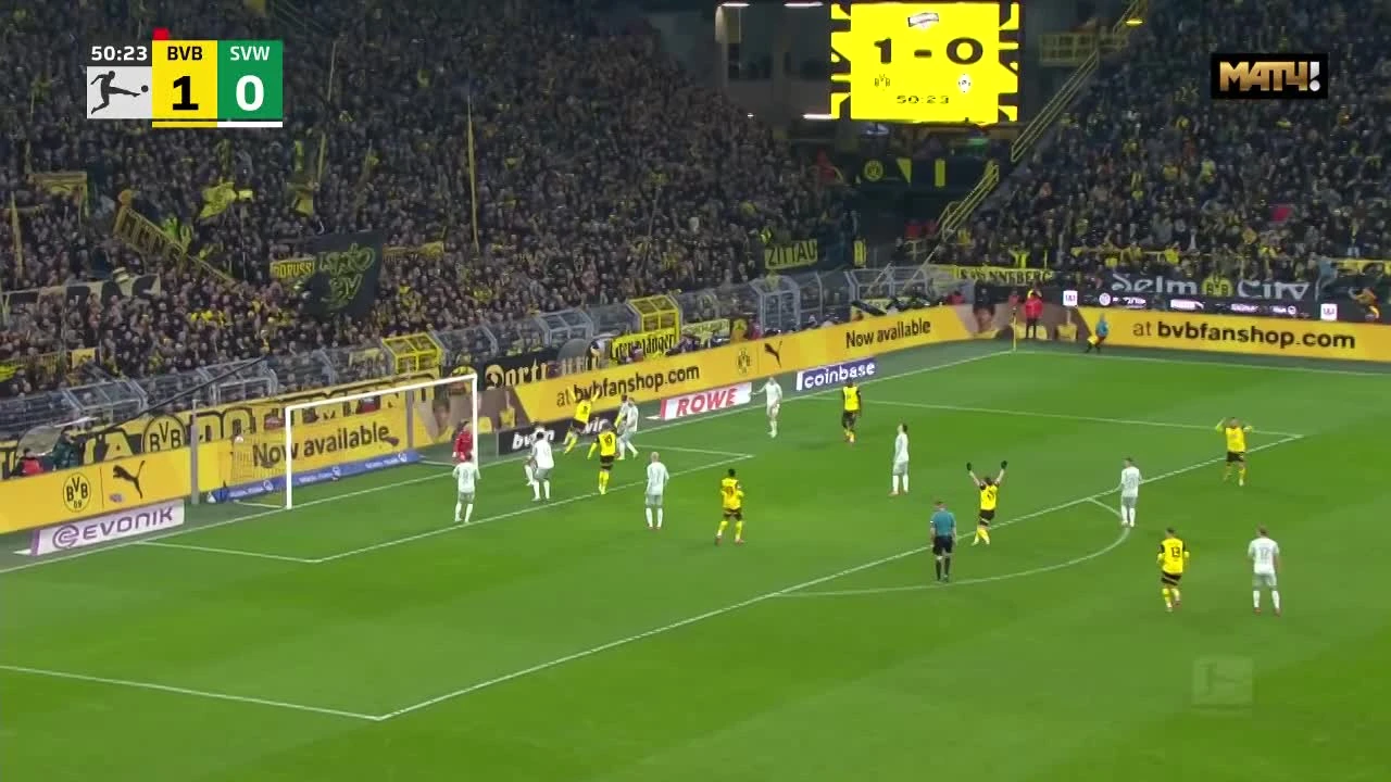 zaslepka skrotu video