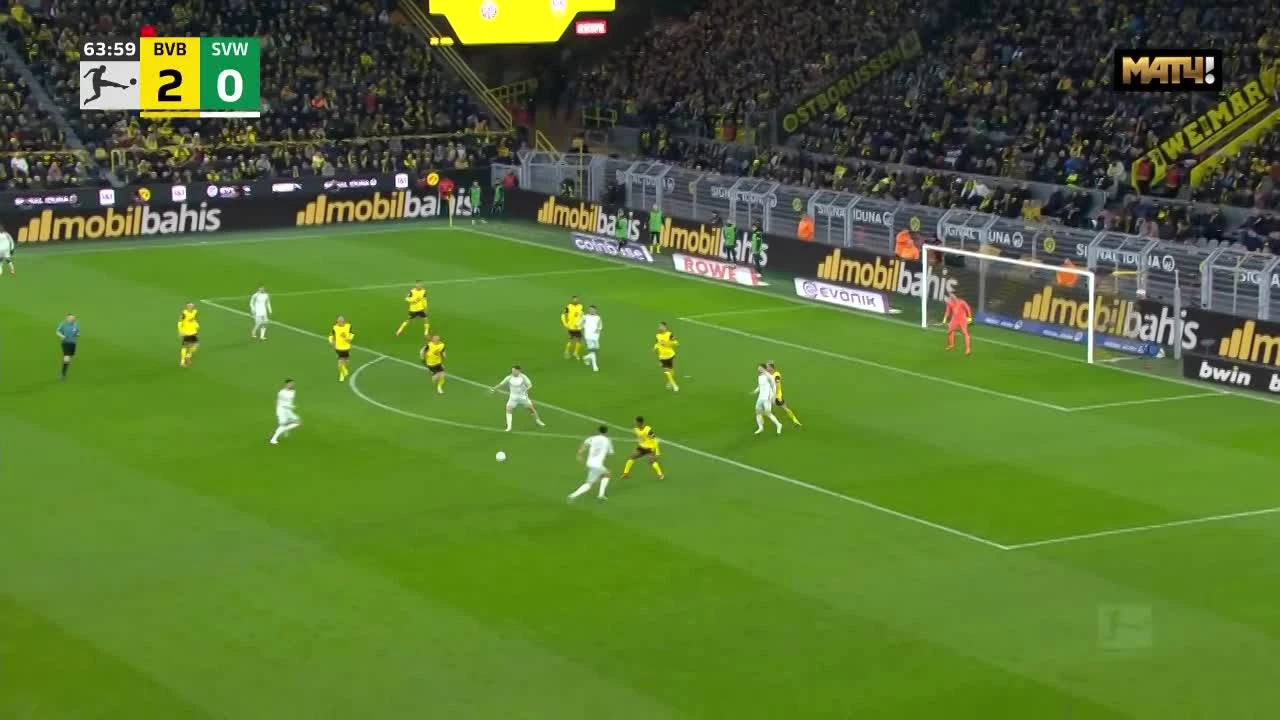 zaslepka skrotu video