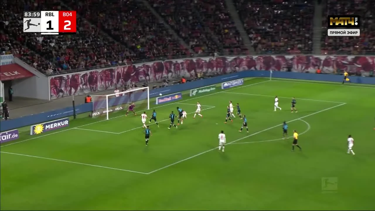 zaslepka skrotu video