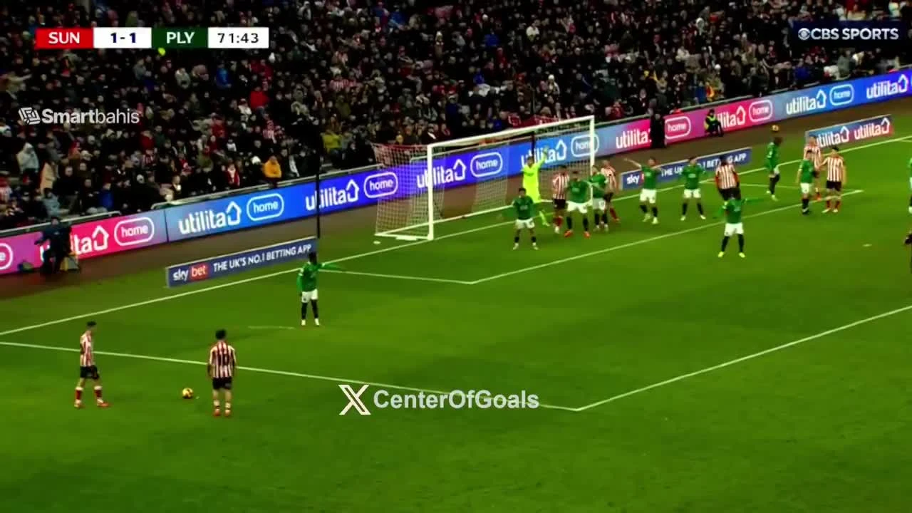 zaslepka skrotu video