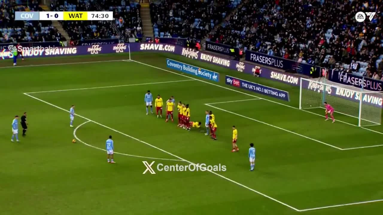 zaslepka skrotu video