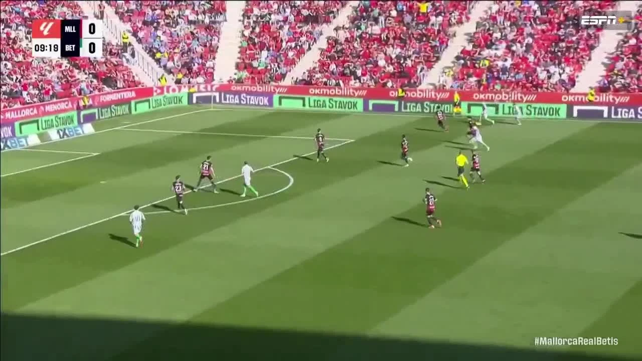zaslepka skrotu video