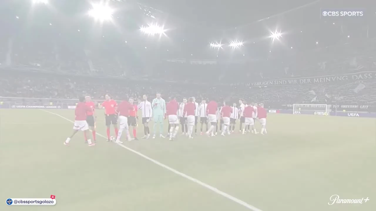 zaslepka skrotu video