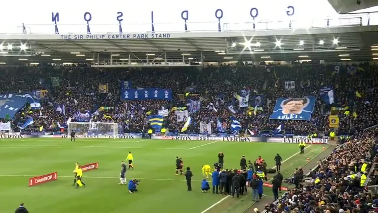 zaslepka skrotu video
