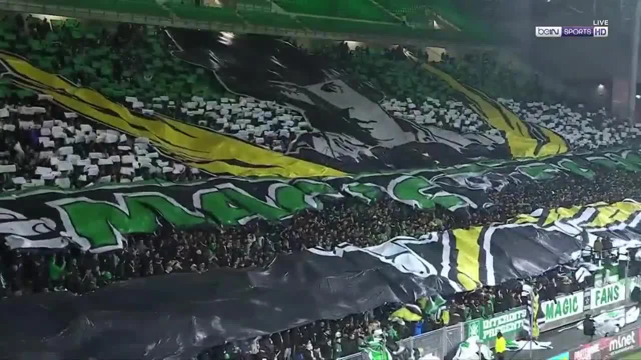 zaslepka skrotu video