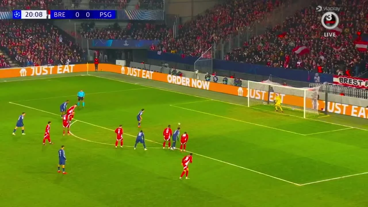 zaslepka skrotu video