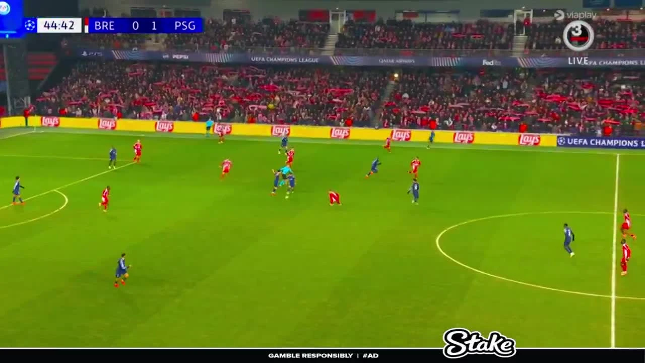 zaslepka skrotu video
