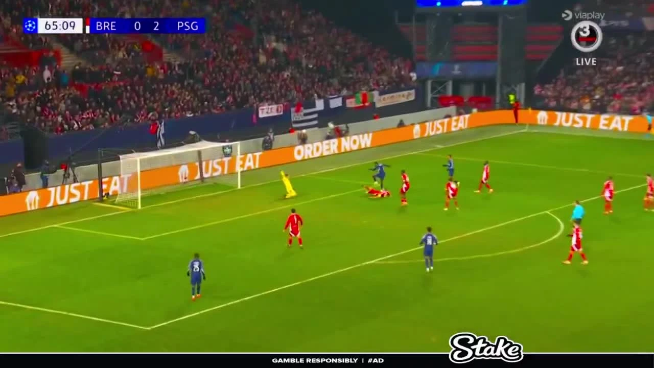 zaslepka skrotu video