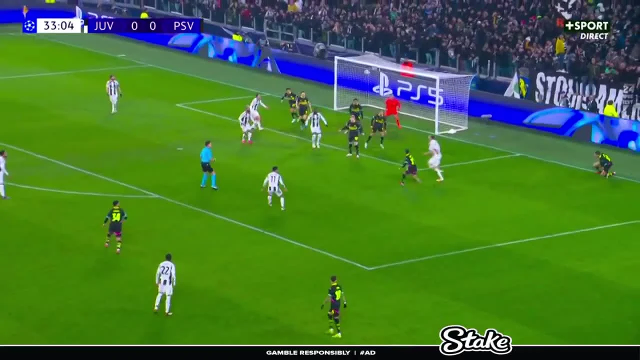 zaslepka skrotu video
