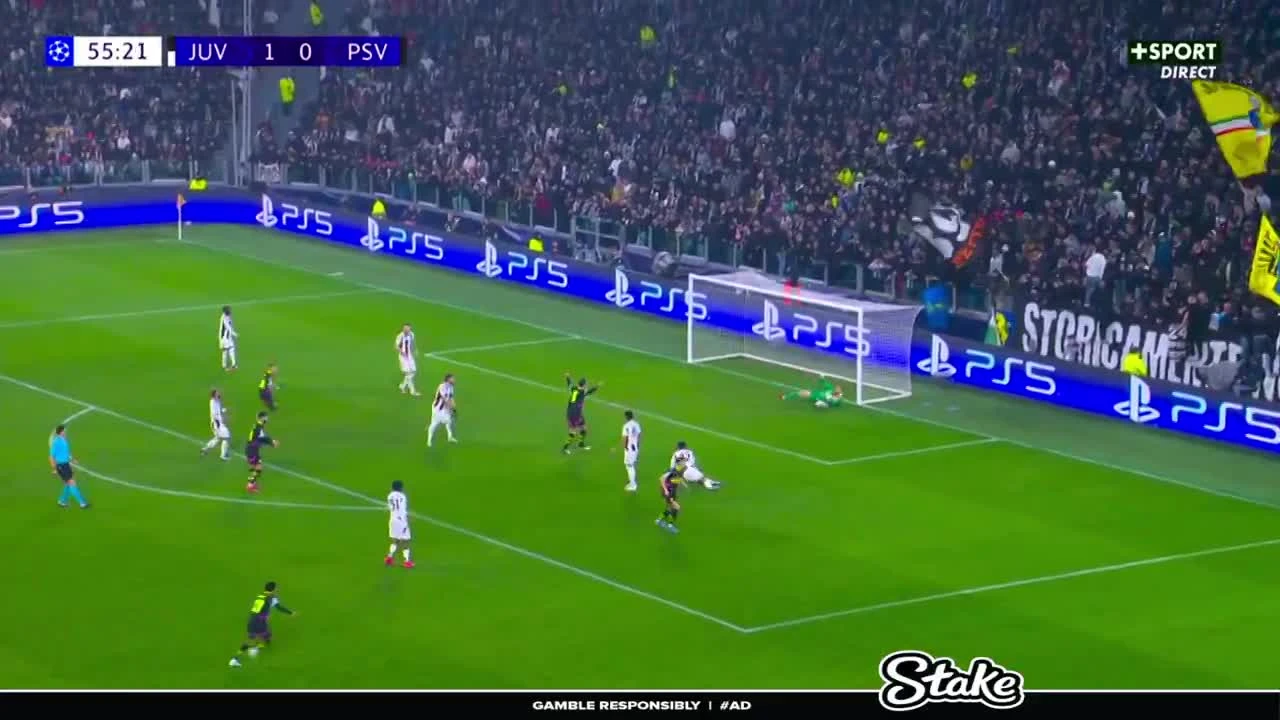 zaslepka skrotu video