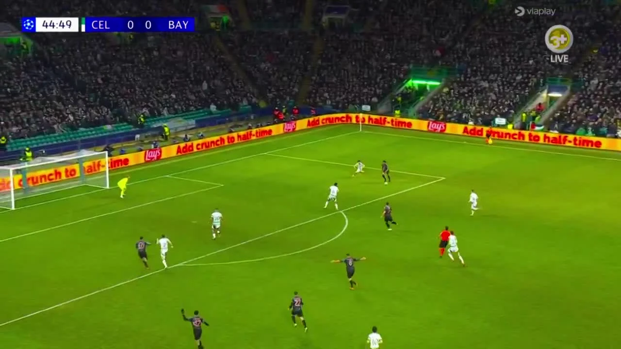zaslepka skrotu video