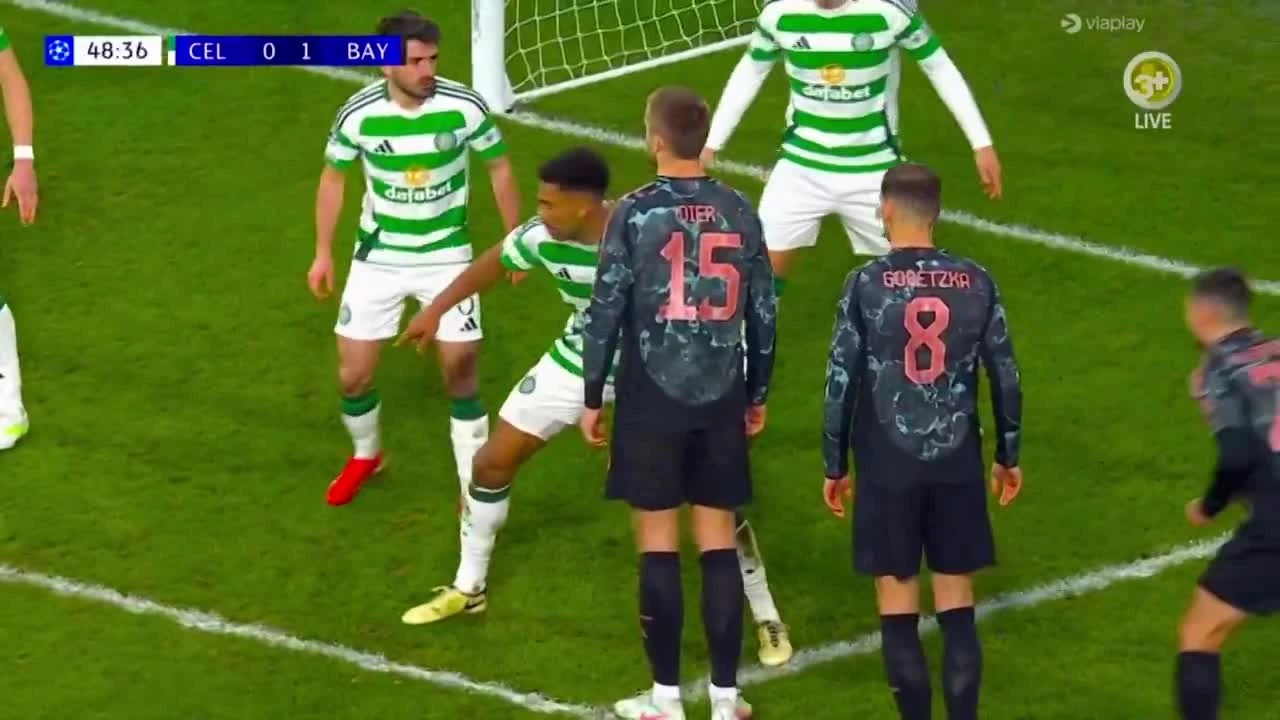 zaslepka skrotu video