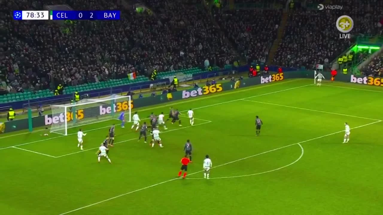 zaslepka skrotu video