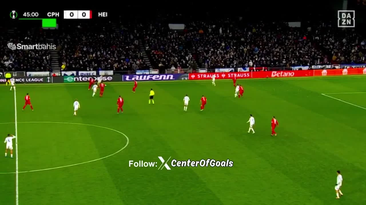 zaslepka skrotu video