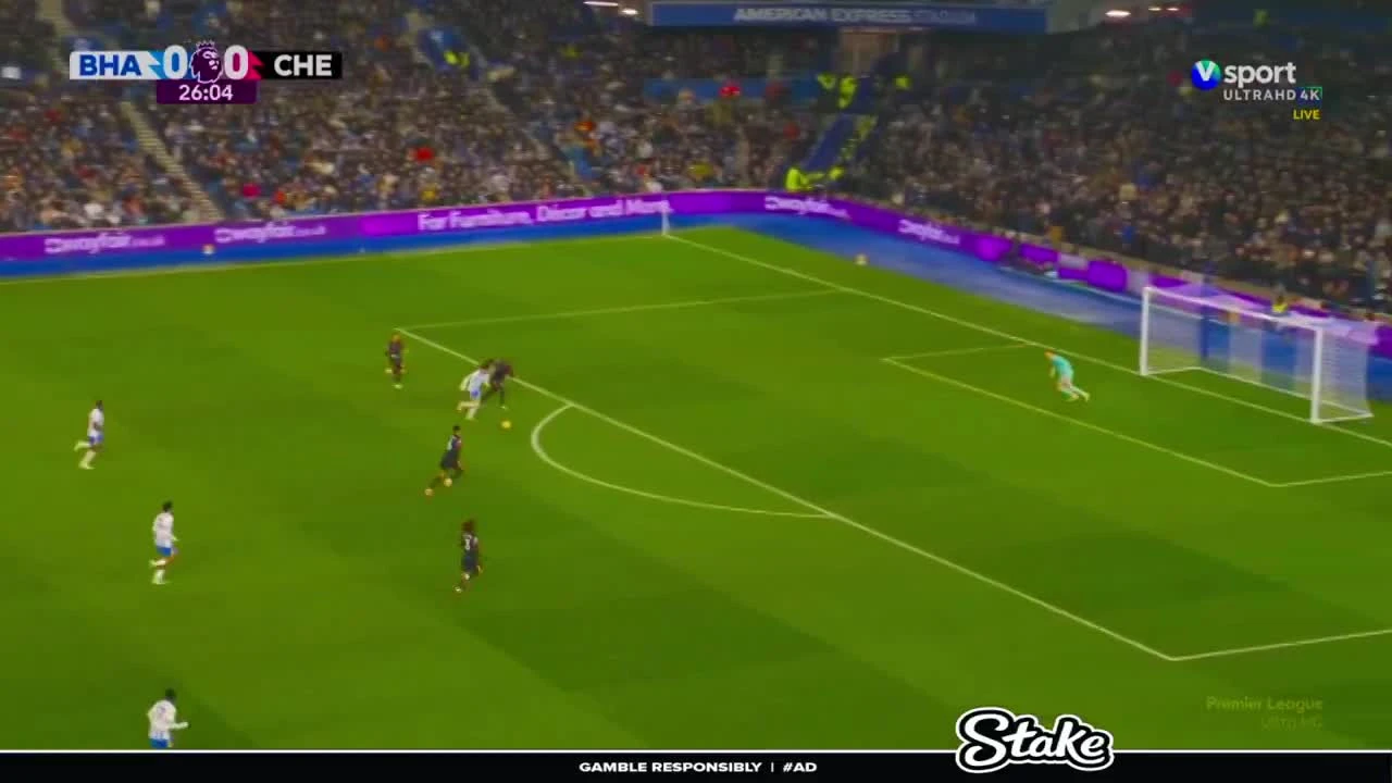 zaslepka skrotu video