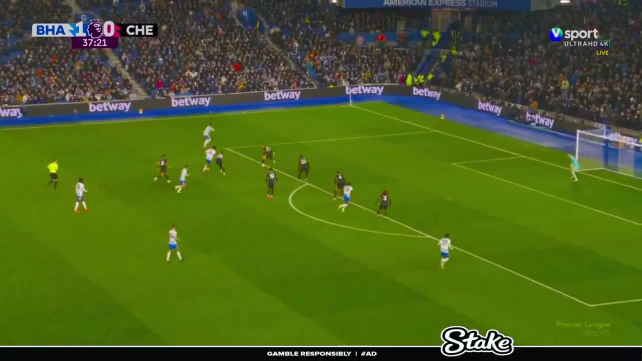 zaslepka skrotu video