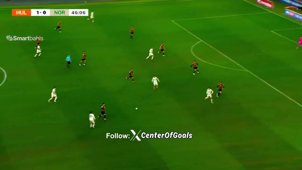 zaslepka skrotu video