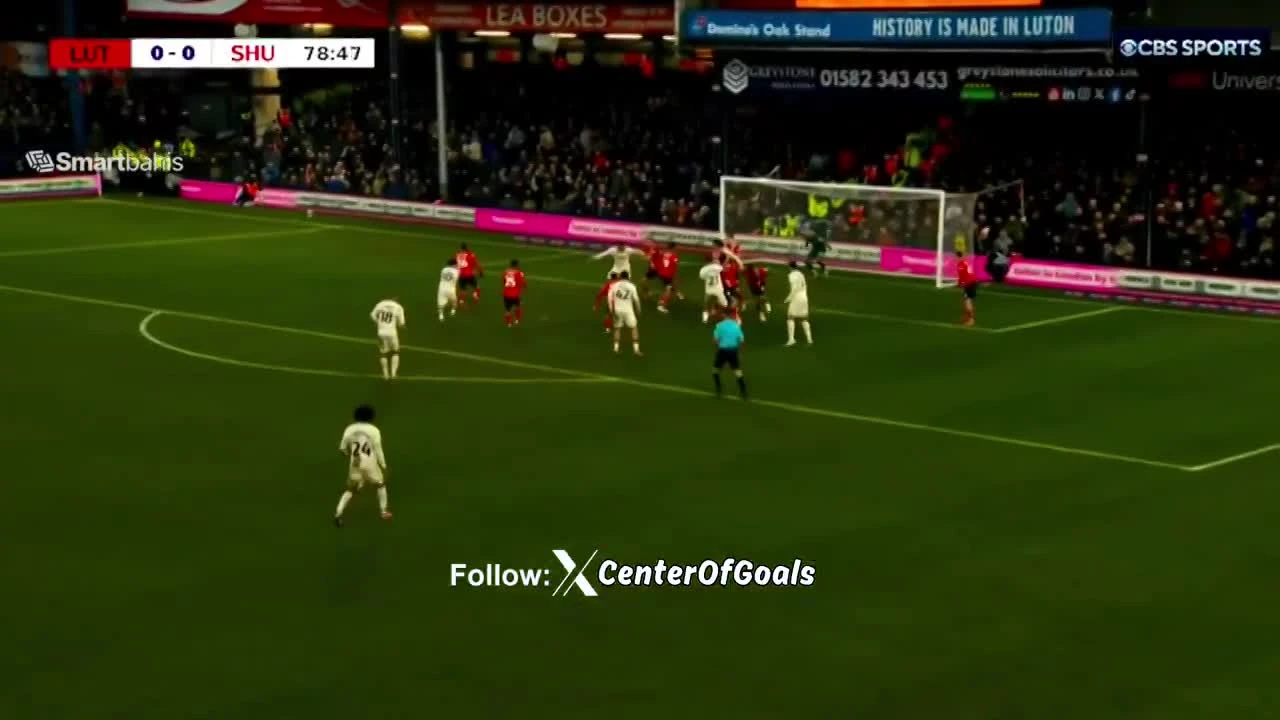 zaslepka skrotu video
