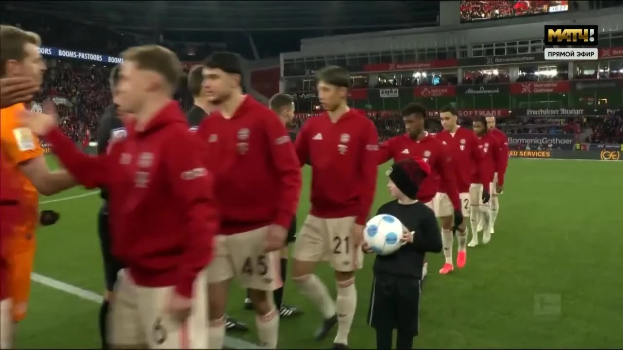 zaslepka skrotu video