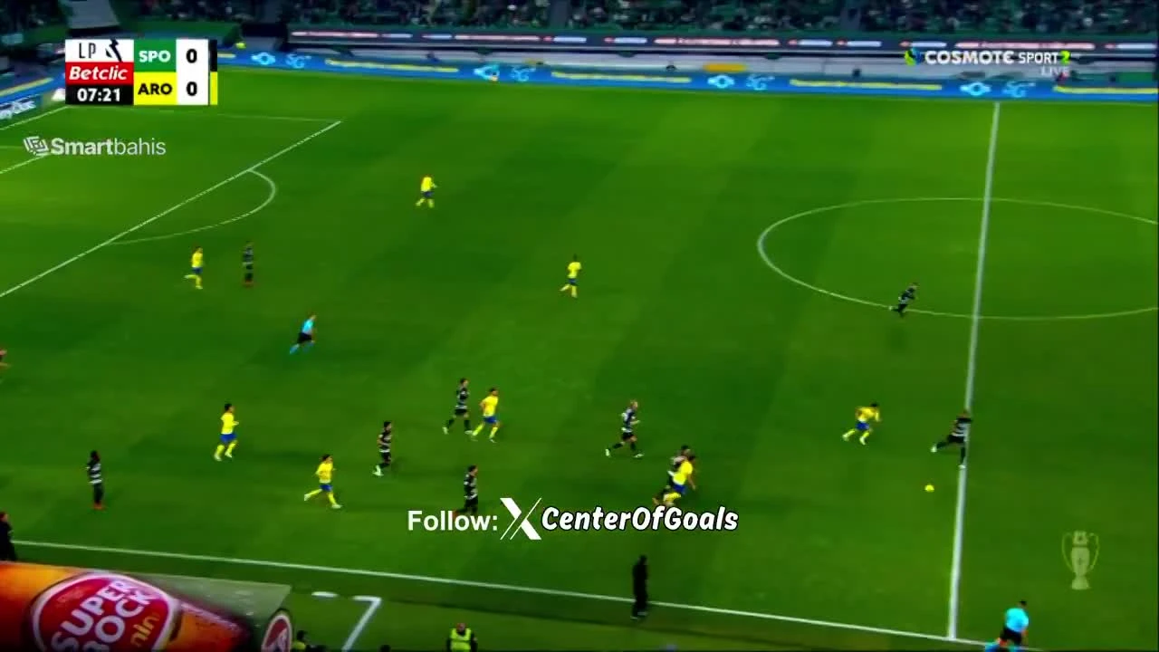 zaslepka skrotu video
