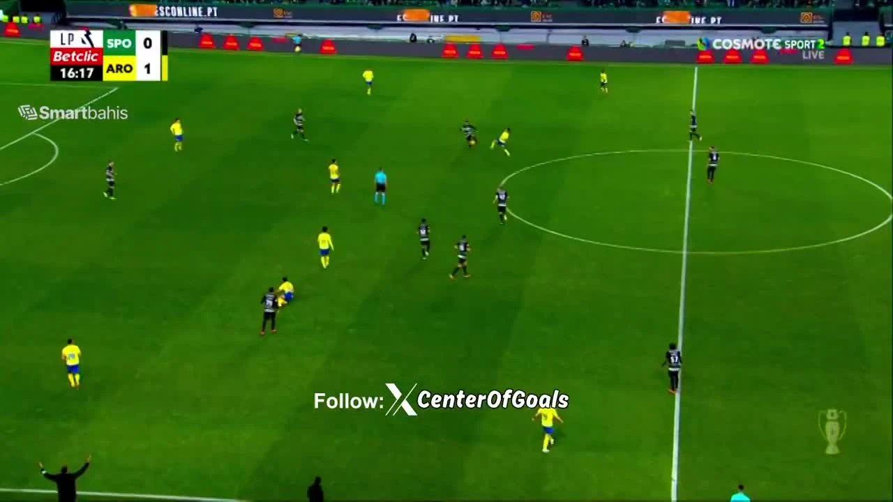 zaslepka skrotu video