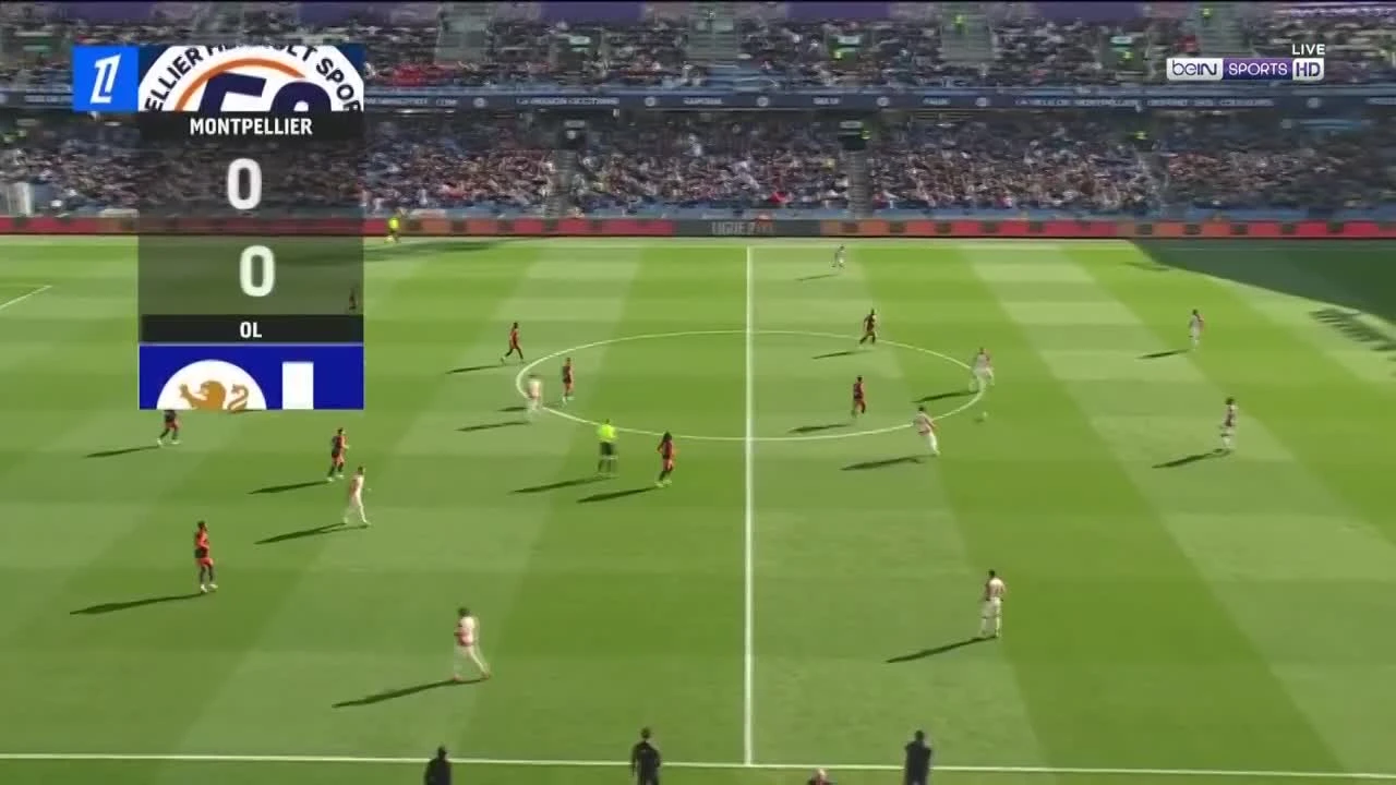 zaslepka skrotu video