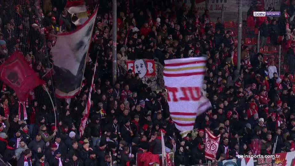 zaslepka skrotu video