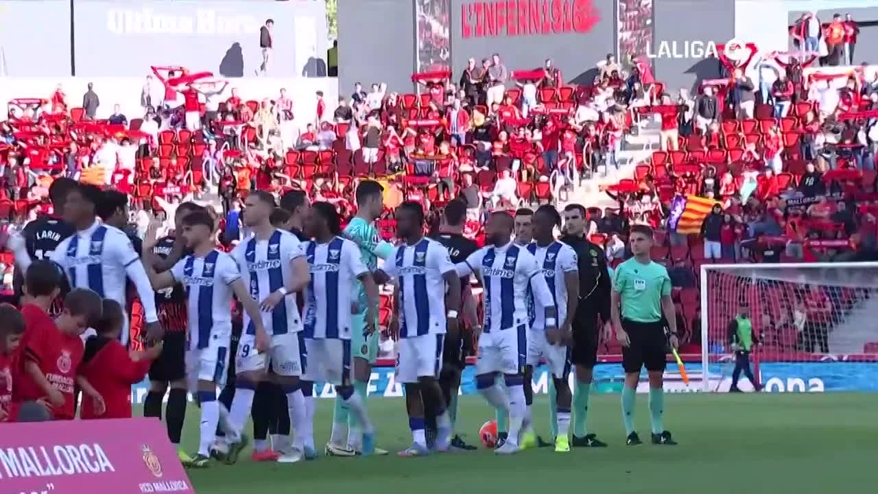 zaslepka skrotu video