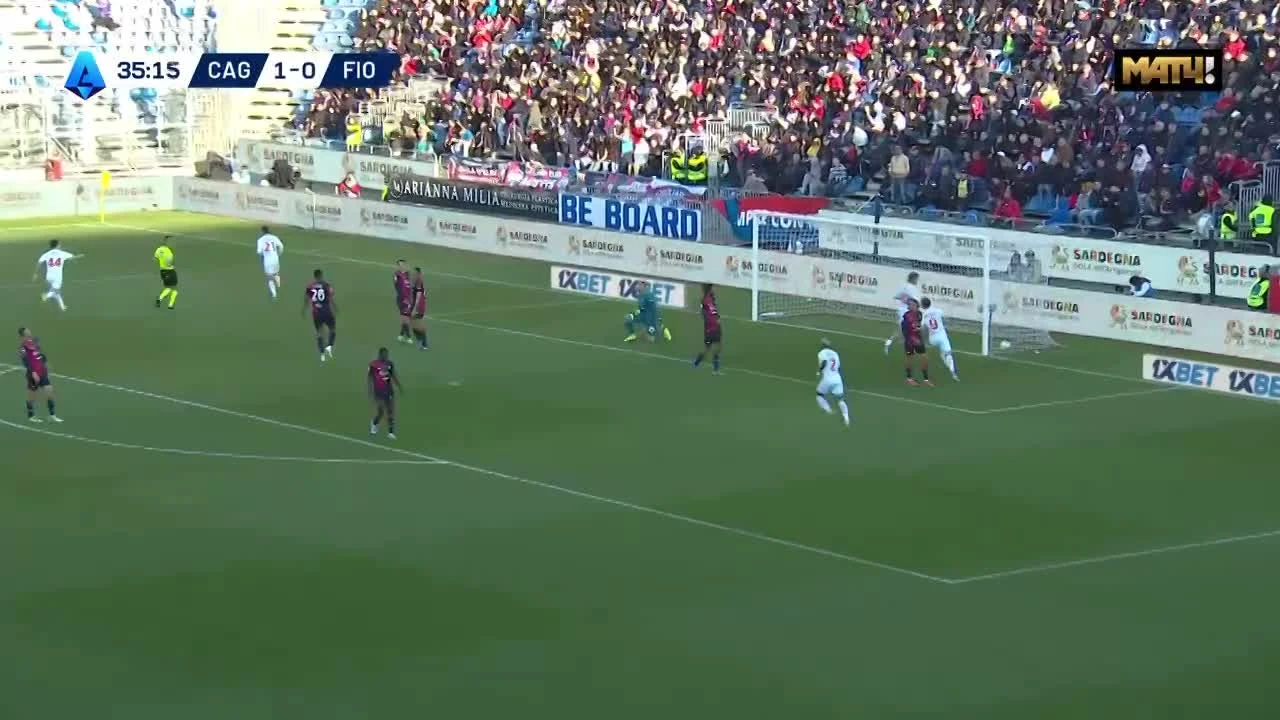 zaslepka skrotu video