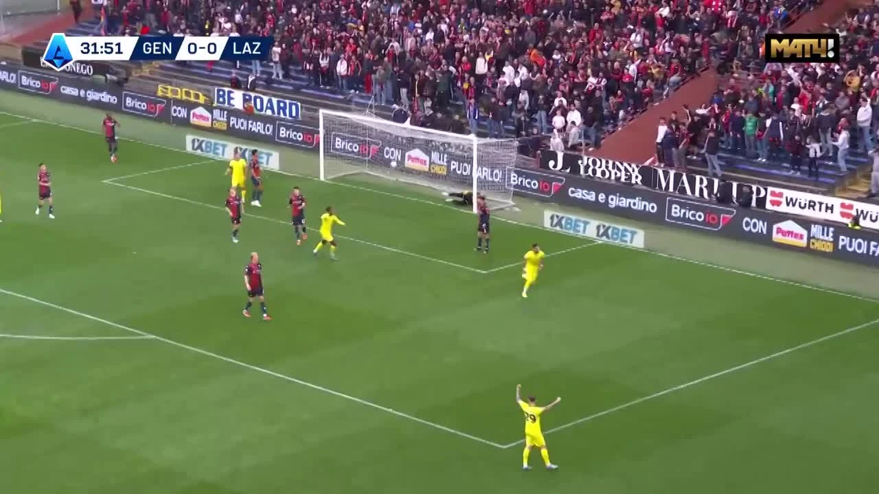 zaslepka skrotu video