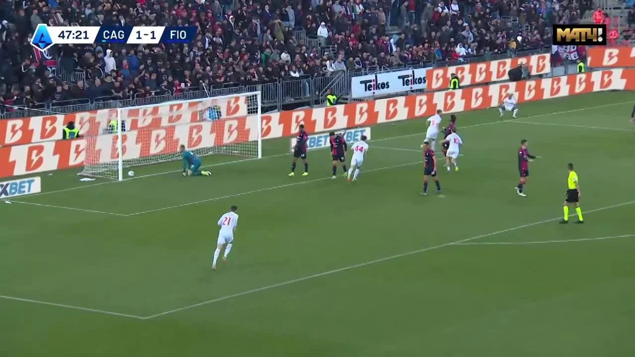 zaslepka skrotu video