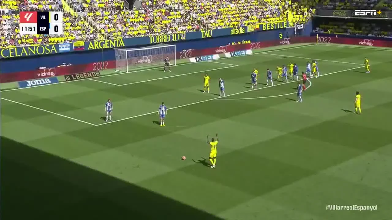 zaslepka skrotu video