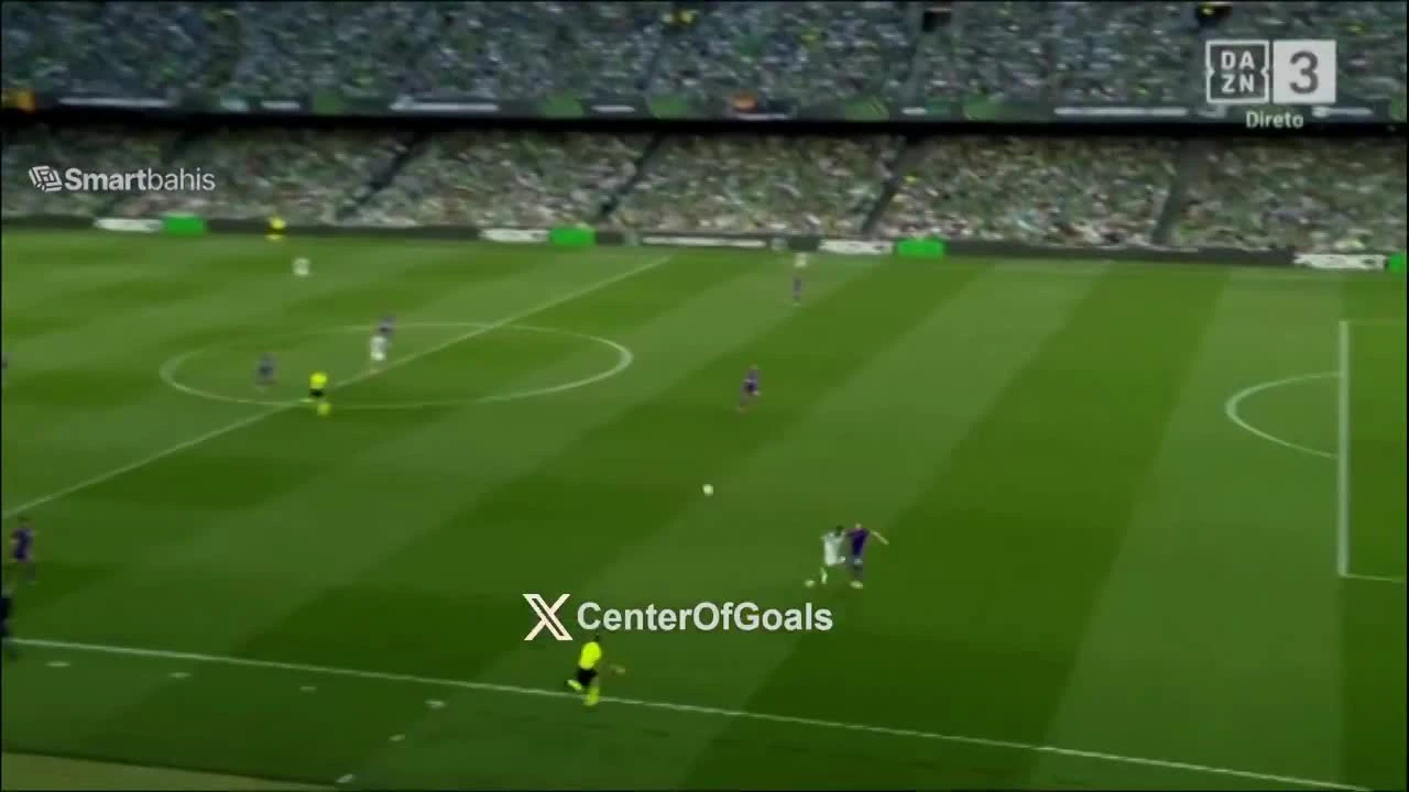 zaslepka skrotu video