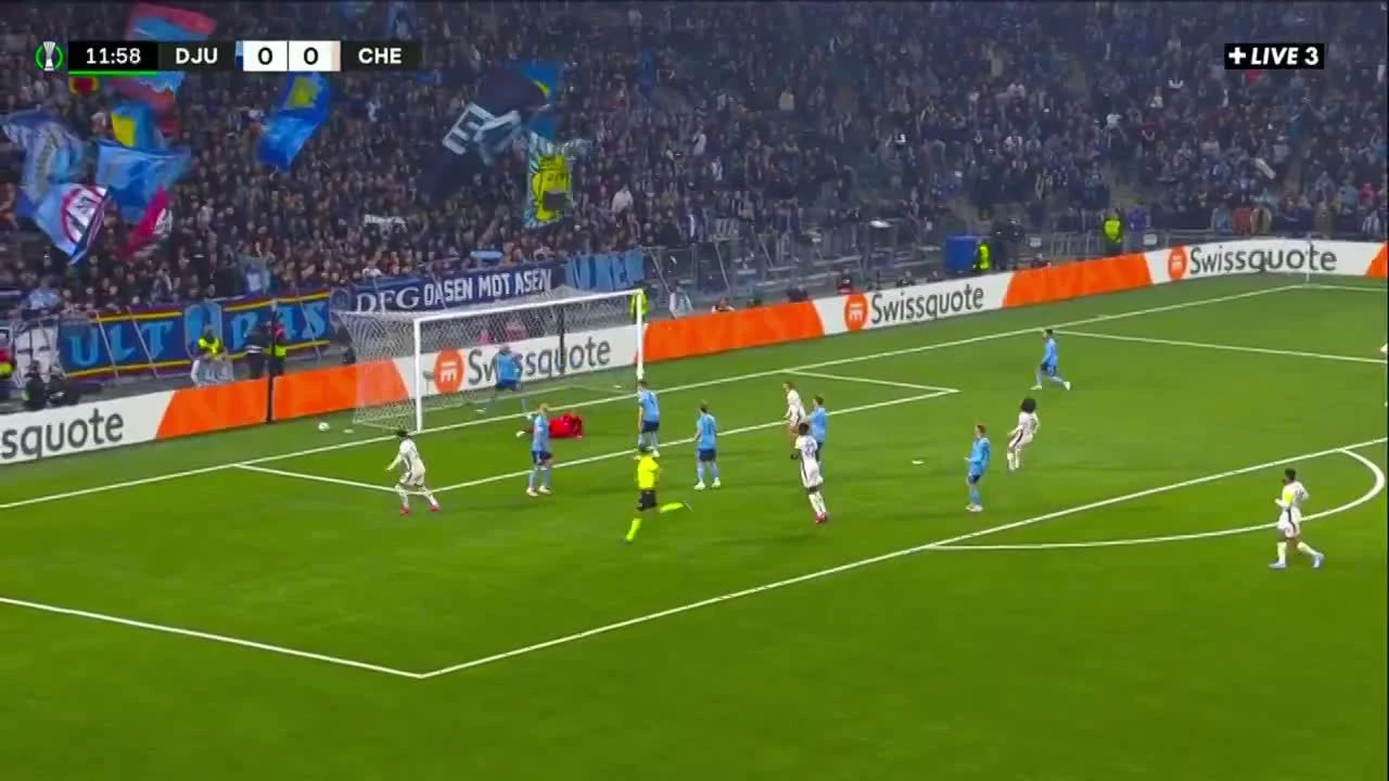 zaslepka skrotu video