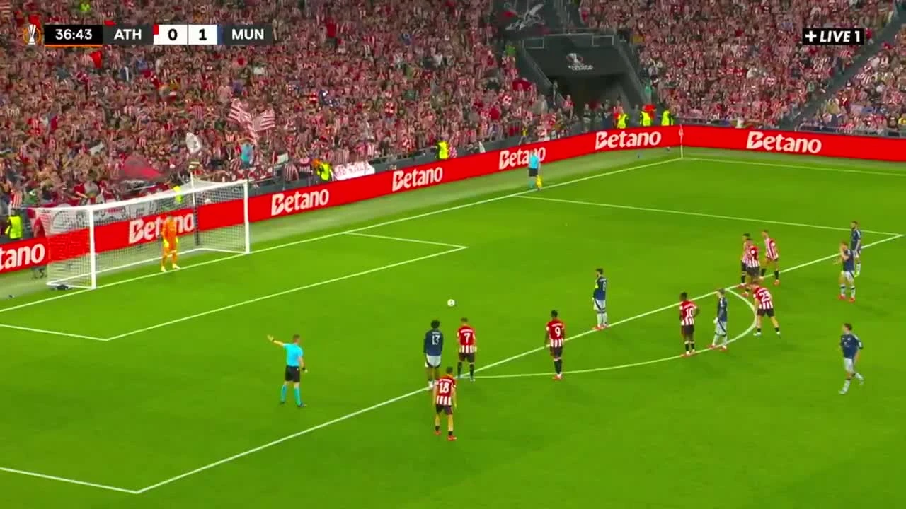 zaslepka skrotu video