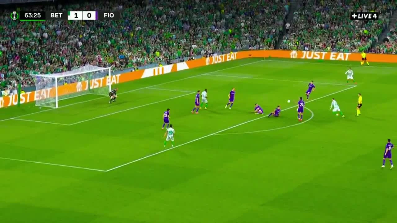 zaslepka skrotu video