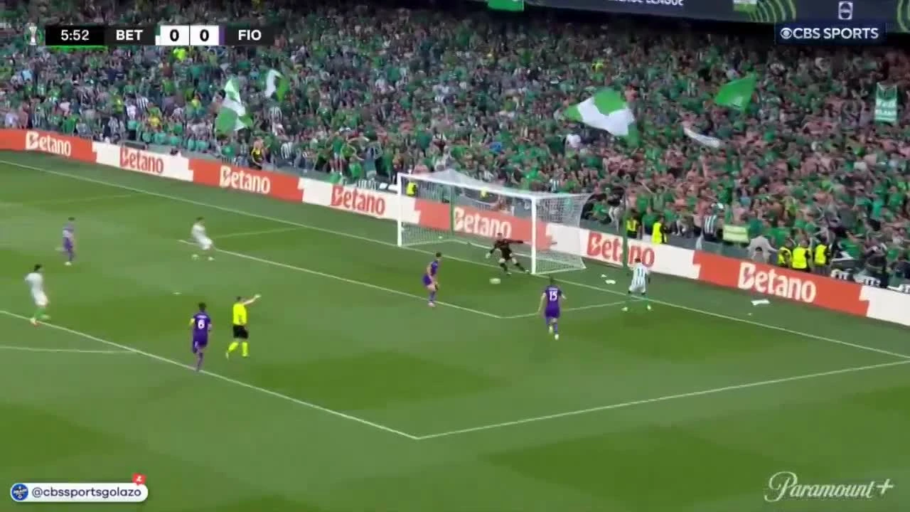 zaslepka skrotu video