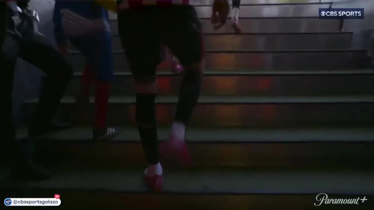 zaslepka skrotu video