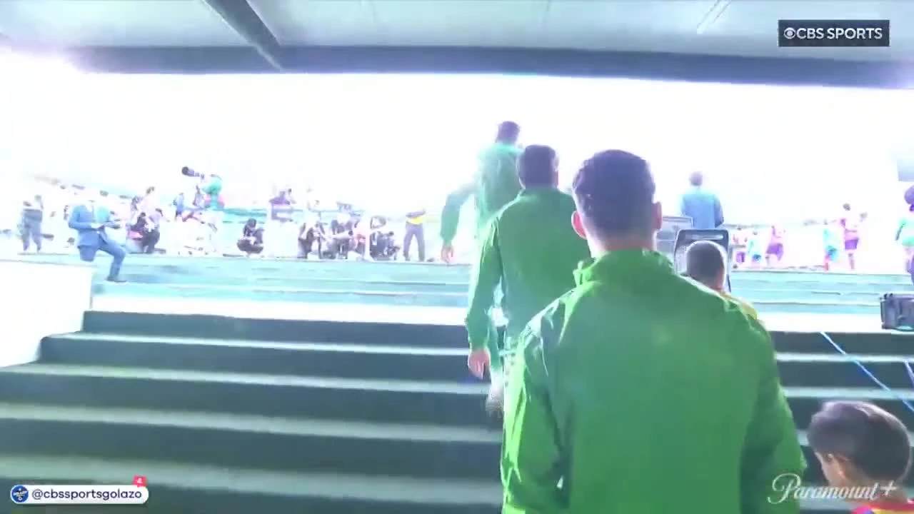 zaslepka skrotu video