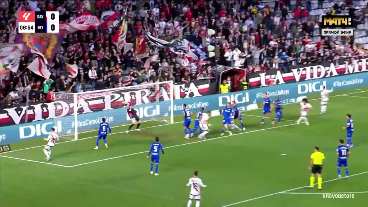 zaslepka skrotu video