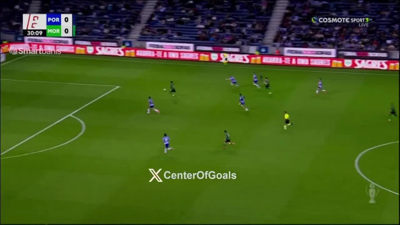 zaslepka skrotu video