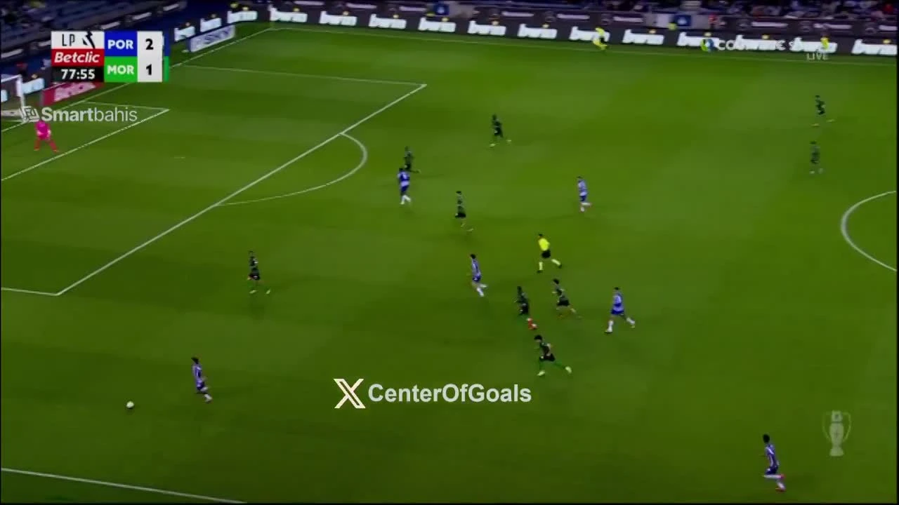 zaslepka skrotu video