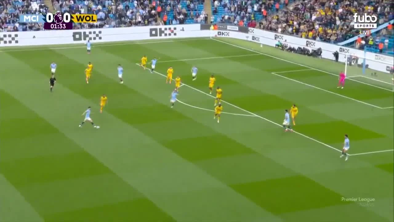 zaslepka skrotu video