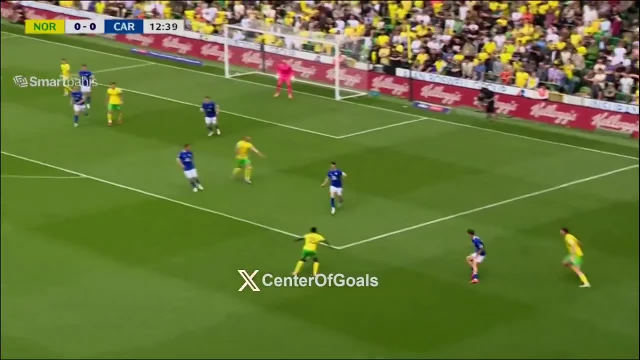 zaslepka skrotu video