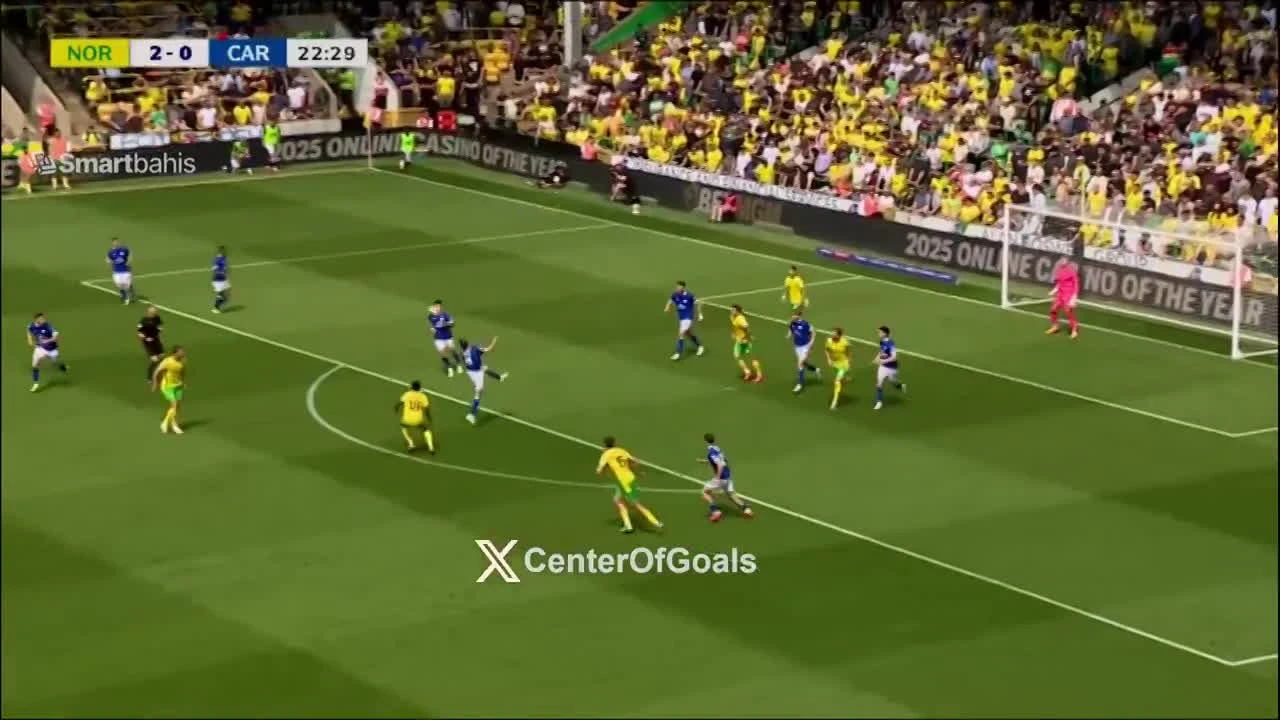 zaslepka skrotu video