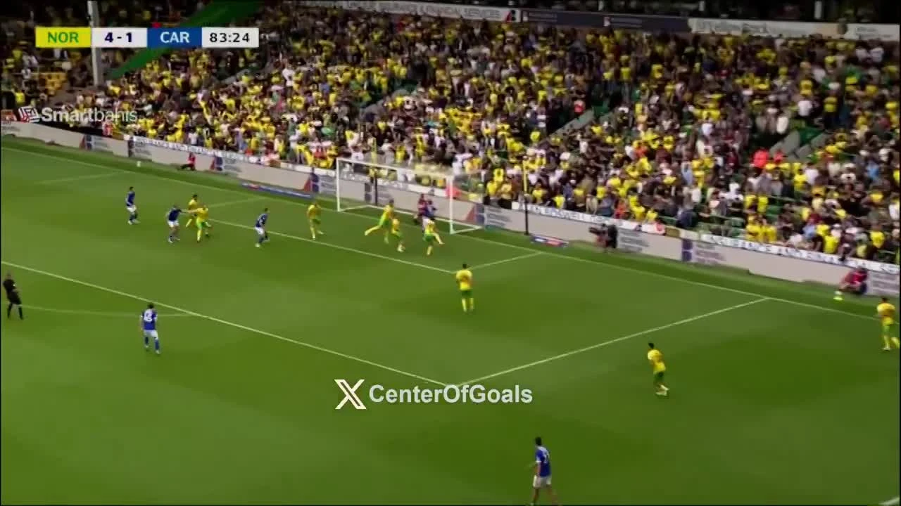 zaslepka skrotu video