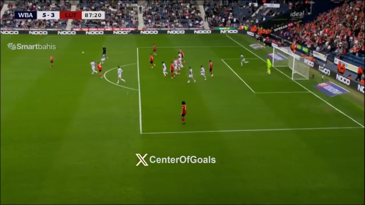 zaslepka skrotu video