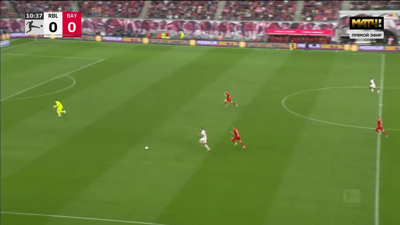 zaslepka skrotu video
