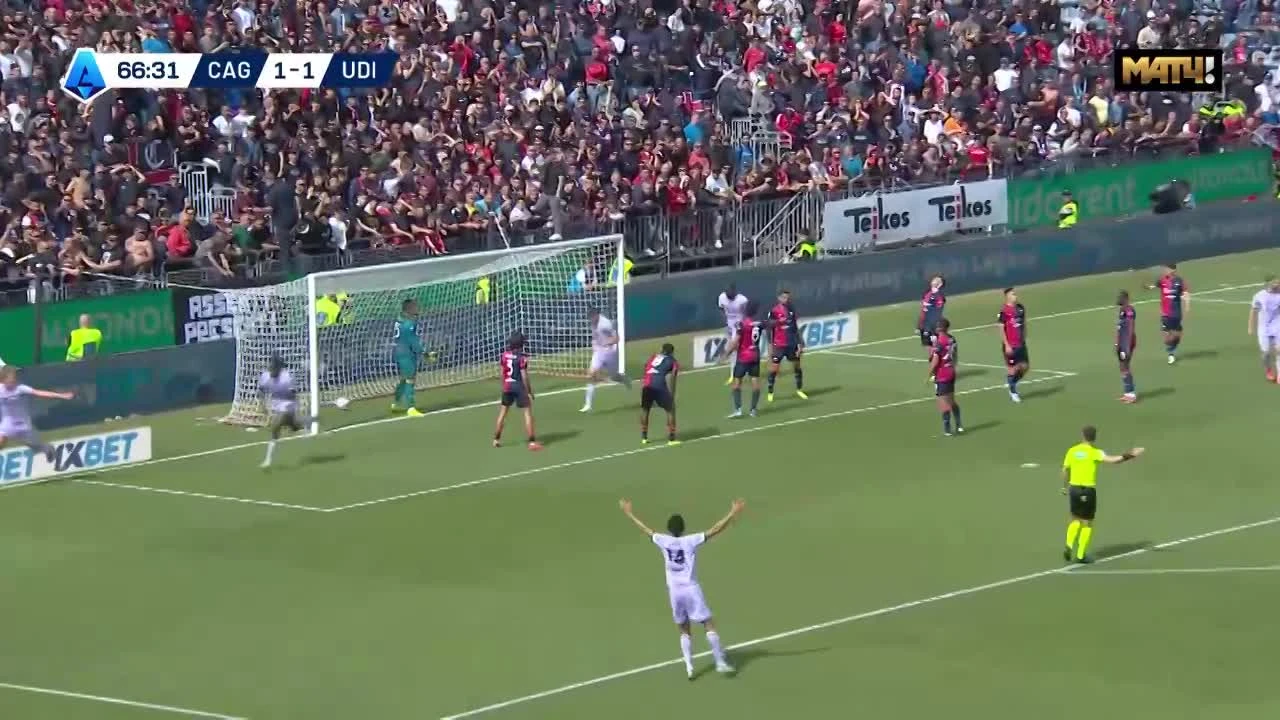 zaslepka skrotu video
